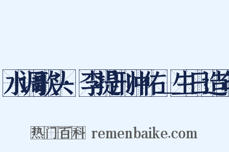 水调歌头·李提刑冲佑＿生日造句是什么意思的图片